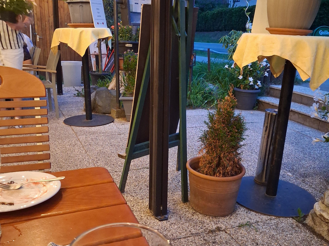 Trattoria-pizzeria Sole Mio
