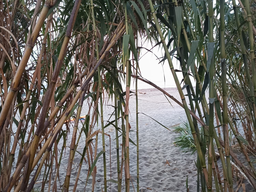 欧泽特酒店主图