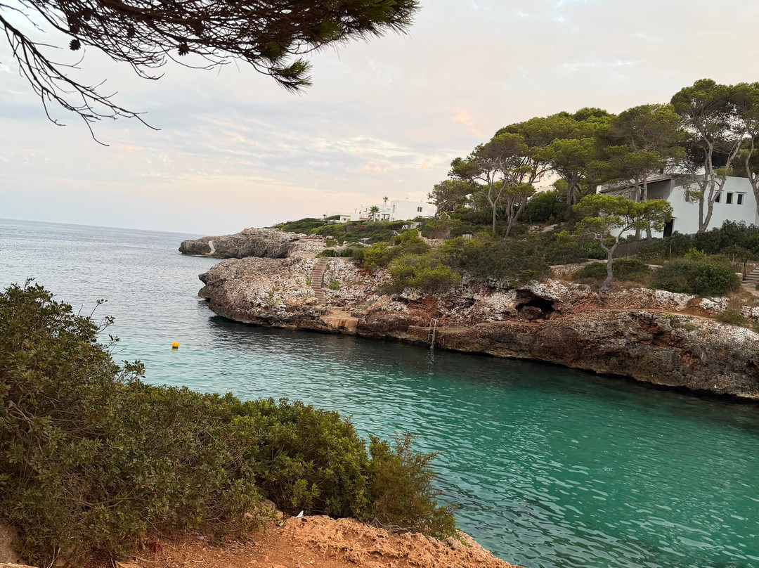 AluaSoul Mallorca Resort - Adults Only主图