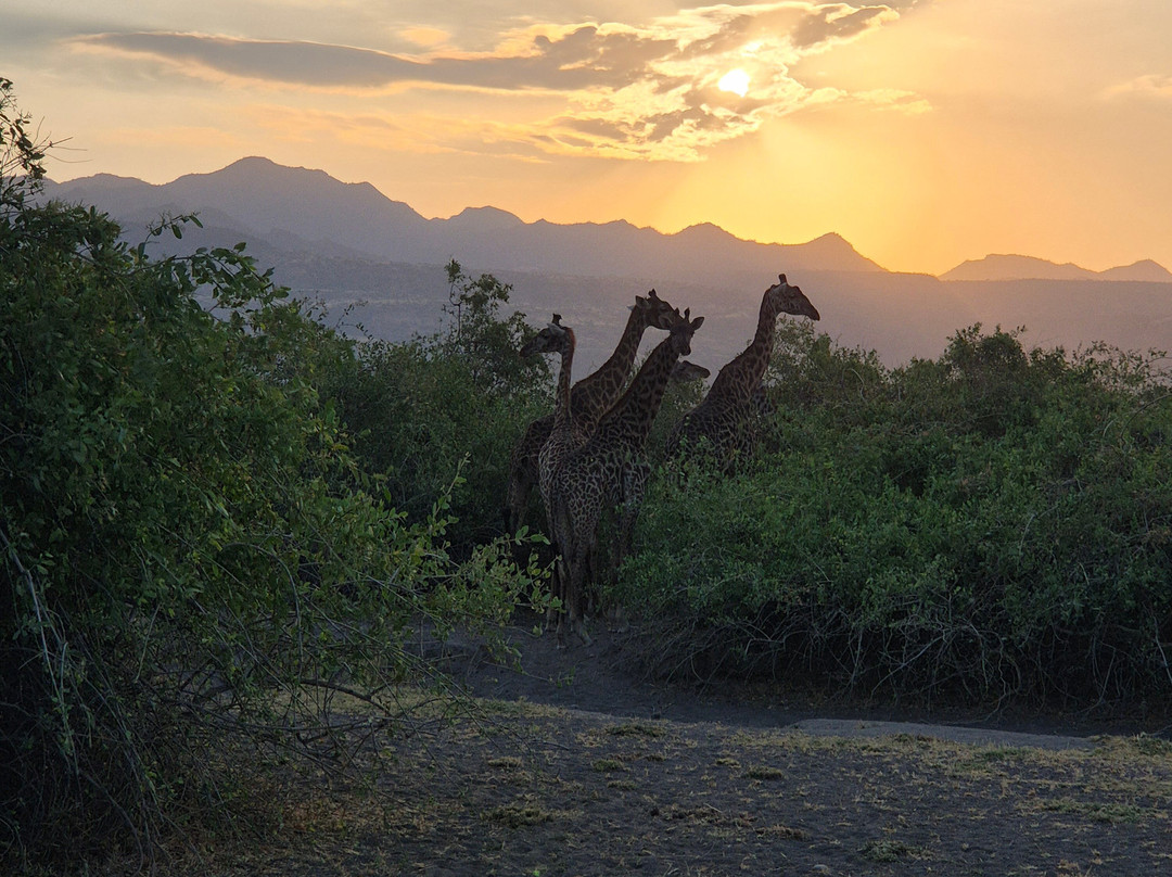 Furahia Tanzania Safari & Trekking Ltd-阿鲁沙必去景点