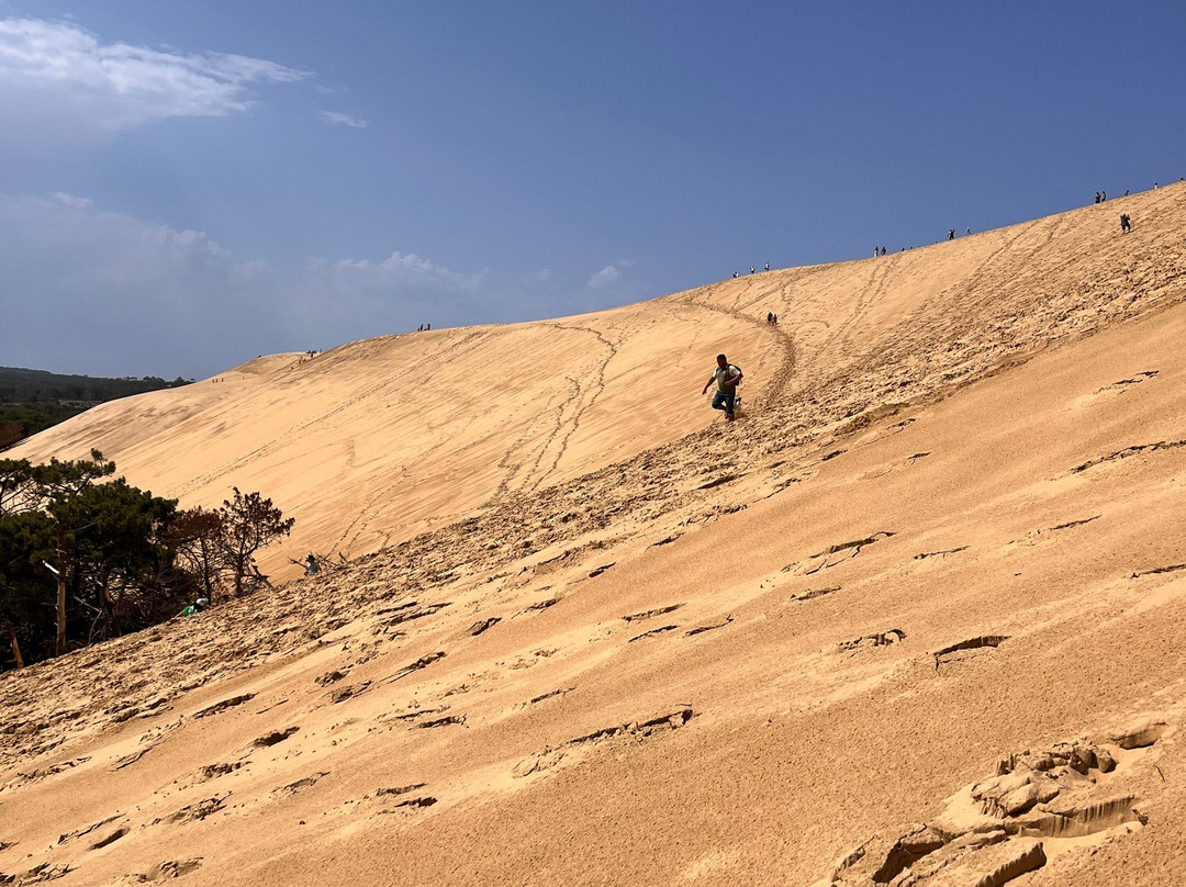 Great Dune of Pilat-拉泰斯特德比克必去景点
