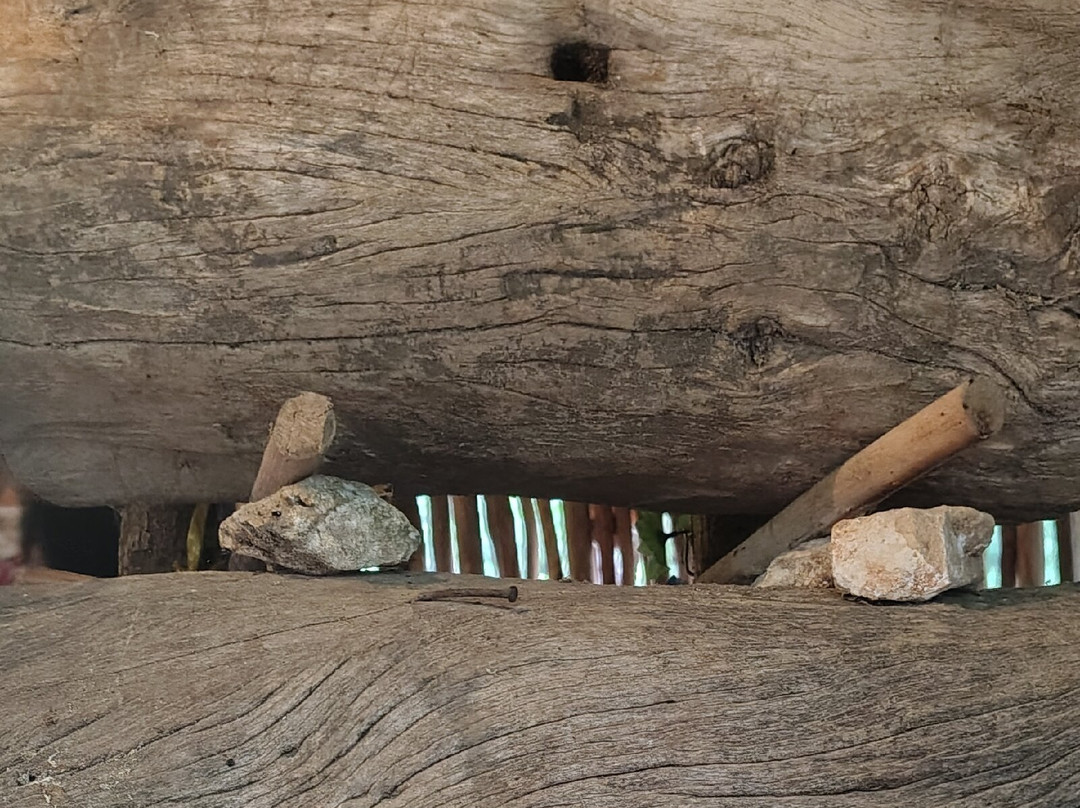 Cenote Hubiku-Temozon必去景点