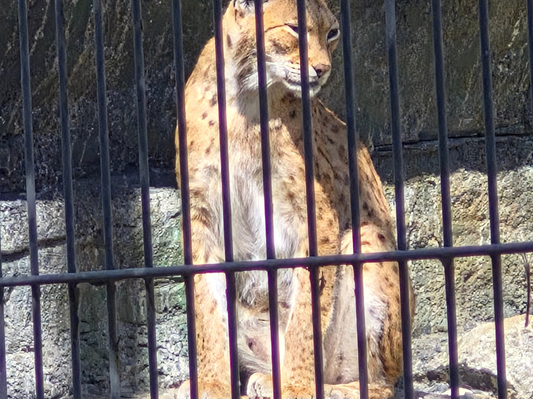 Newquay Zoo-纽奎必去景点