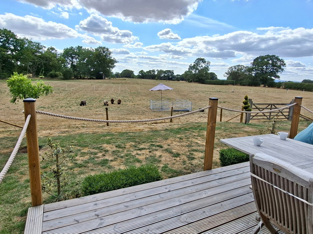 Abbey Green Farm主图