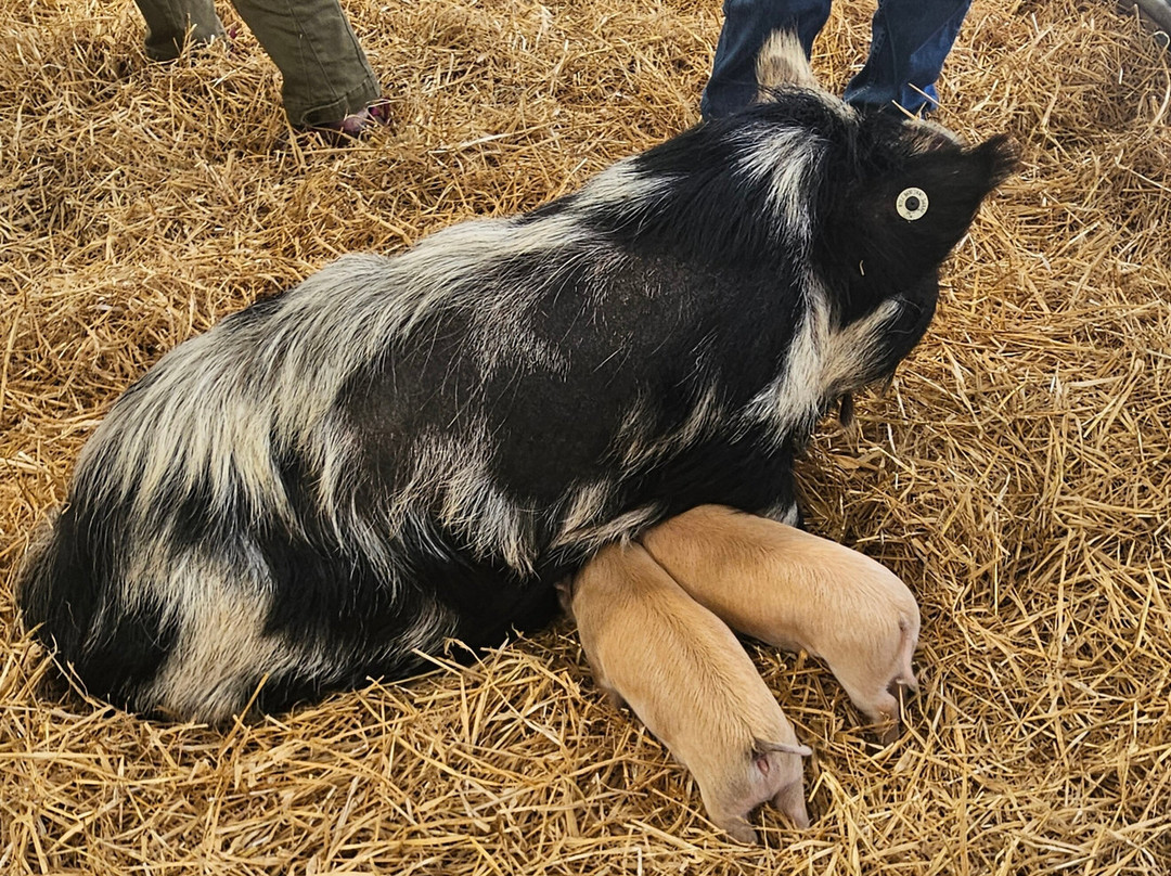 Farm Stop