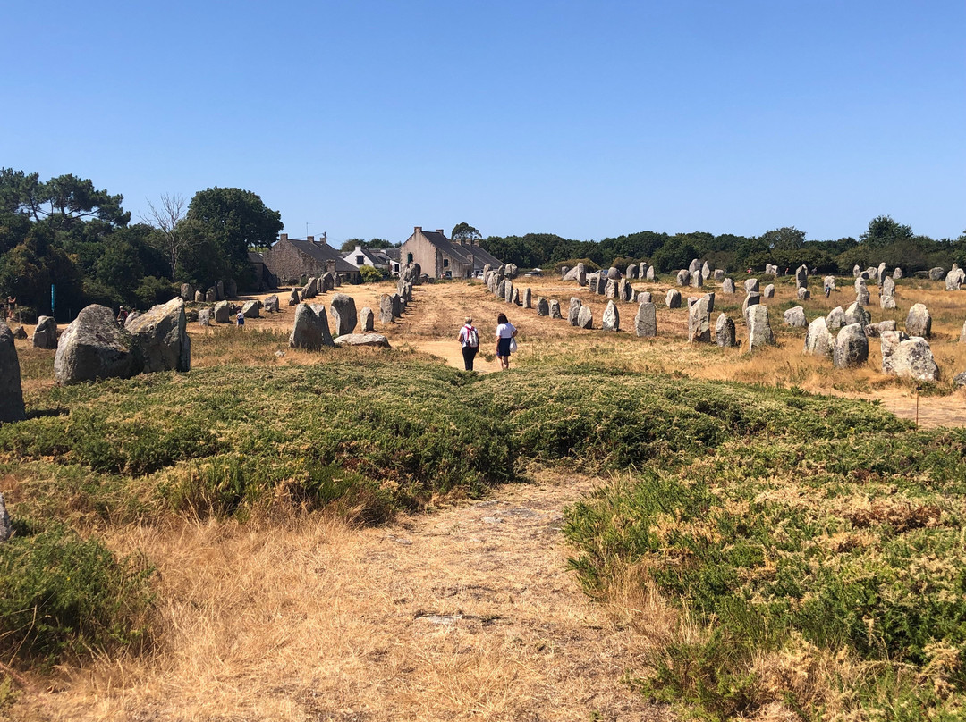 Megaliths of Carnac-卡纳克必去景点