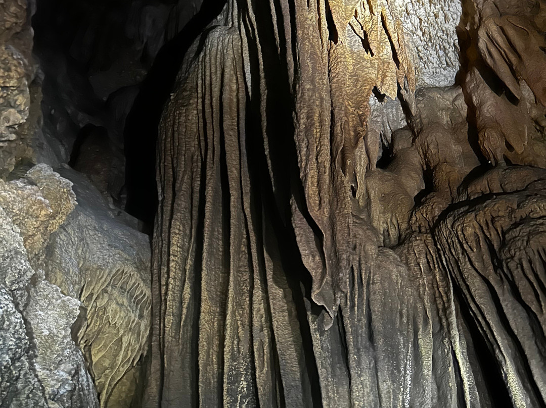 Cueva De La Vaca Gua-iti-Curiti必去景点