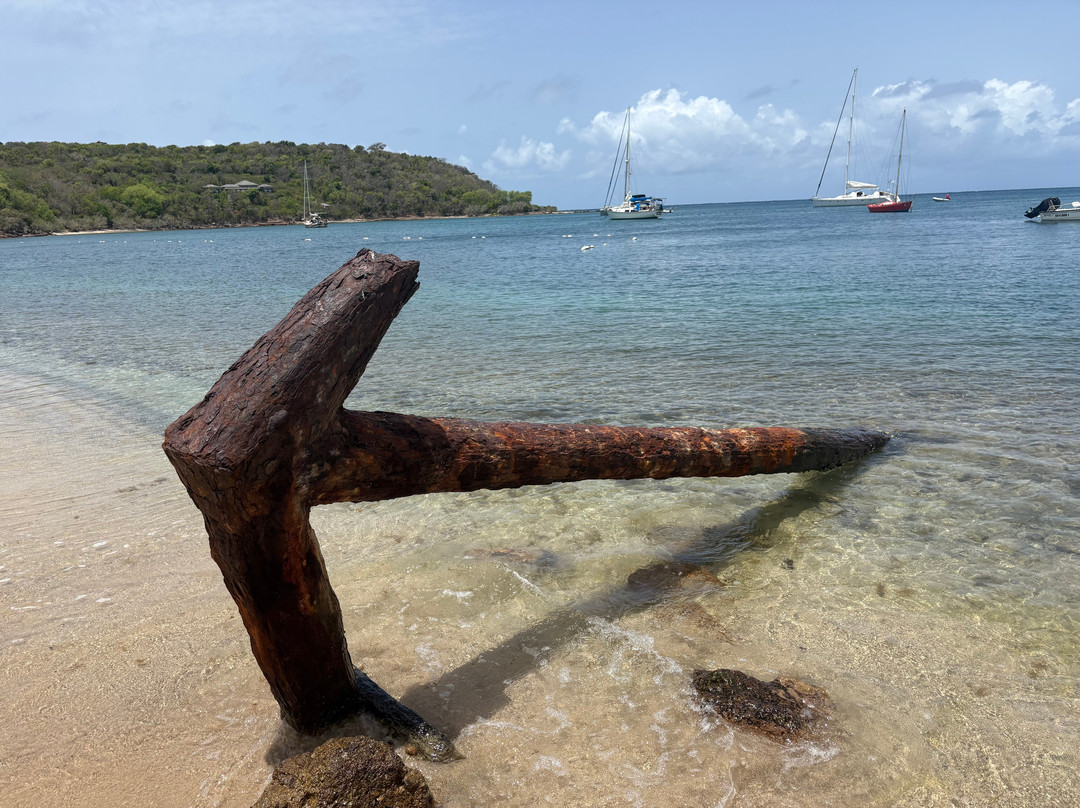 Antigua Chiama Italia Tour-Jolly Harbour必去景点
