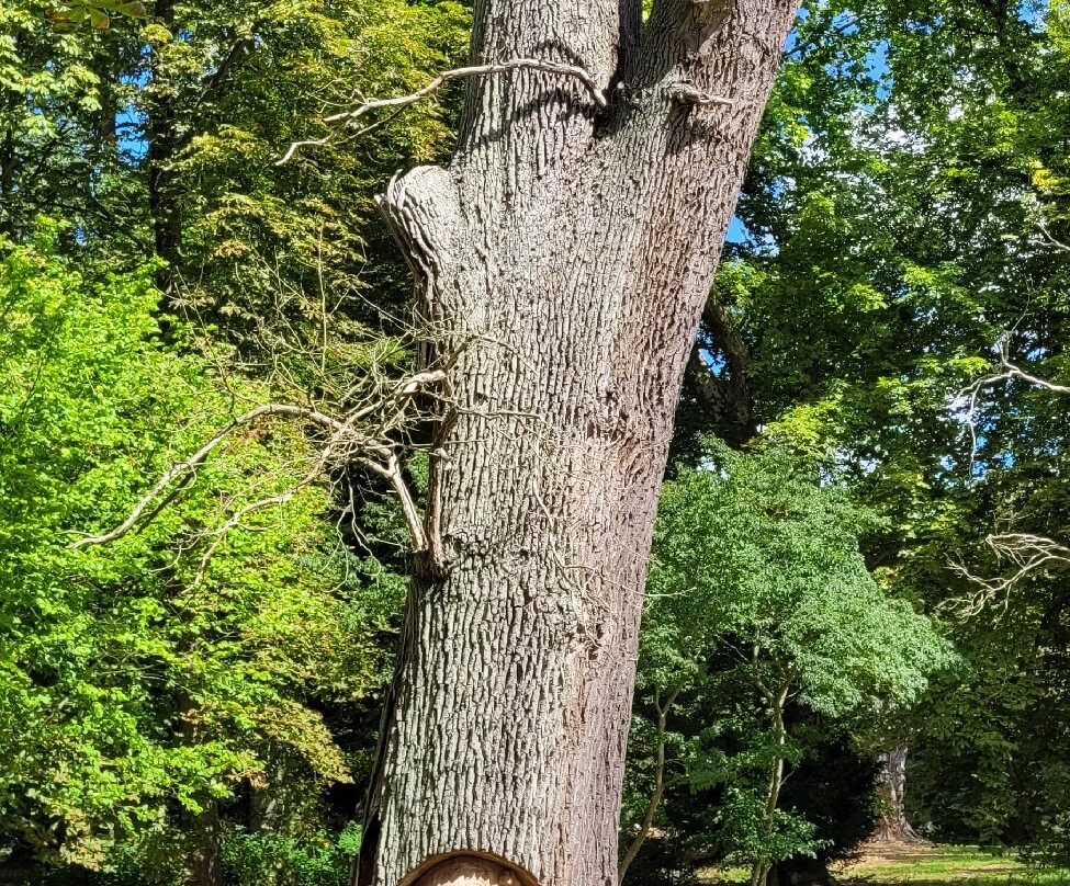 Schlosspark von Putbus-Putbus必去景点