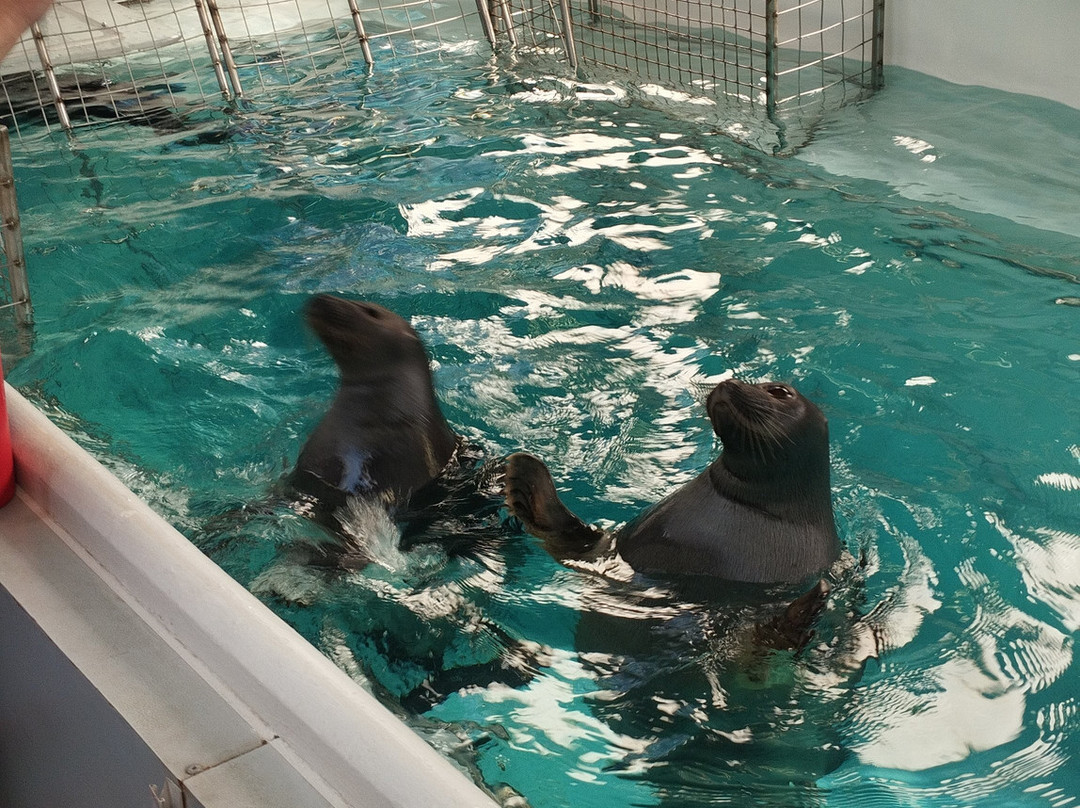 Nerpinary水族馆-利斯特维扬卡必去景点