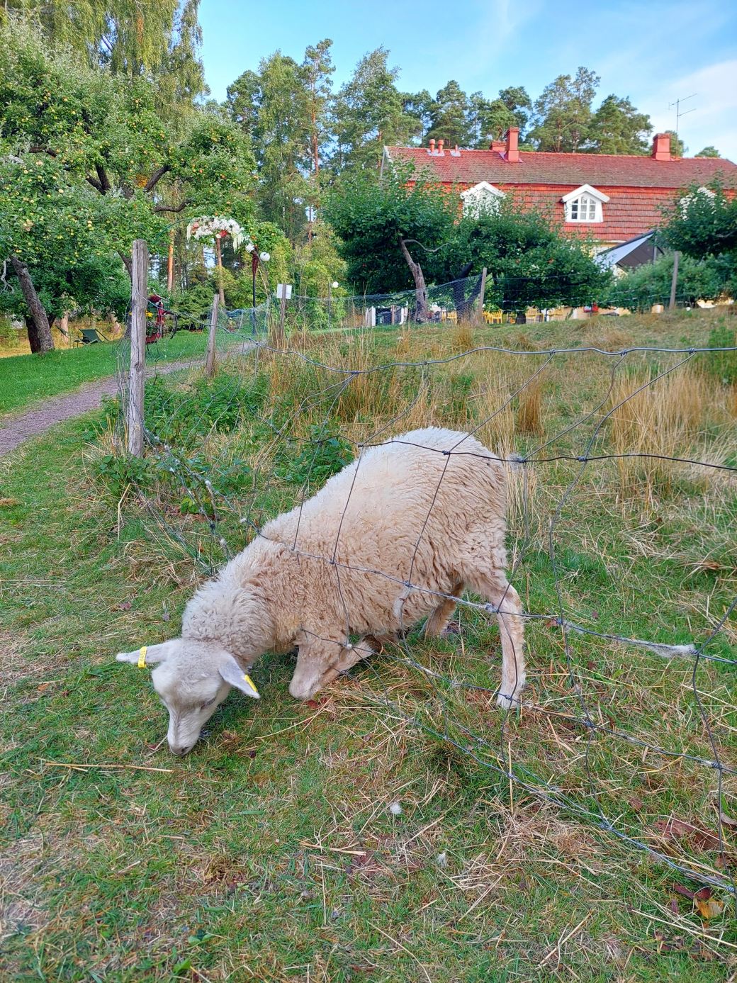 Tammiston Bed&Breakfast-旅行者