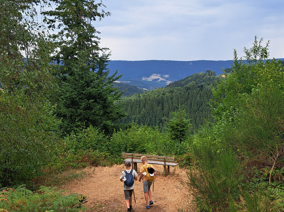 Himmelssteig-Bad Peterstal-Griesbach必去景点