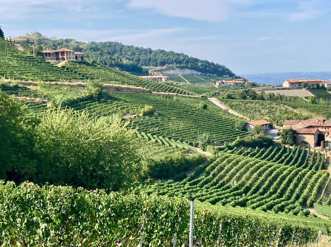 Azienda Agricola Rocca Giovanni-蒙福特-达尔巴必去景点