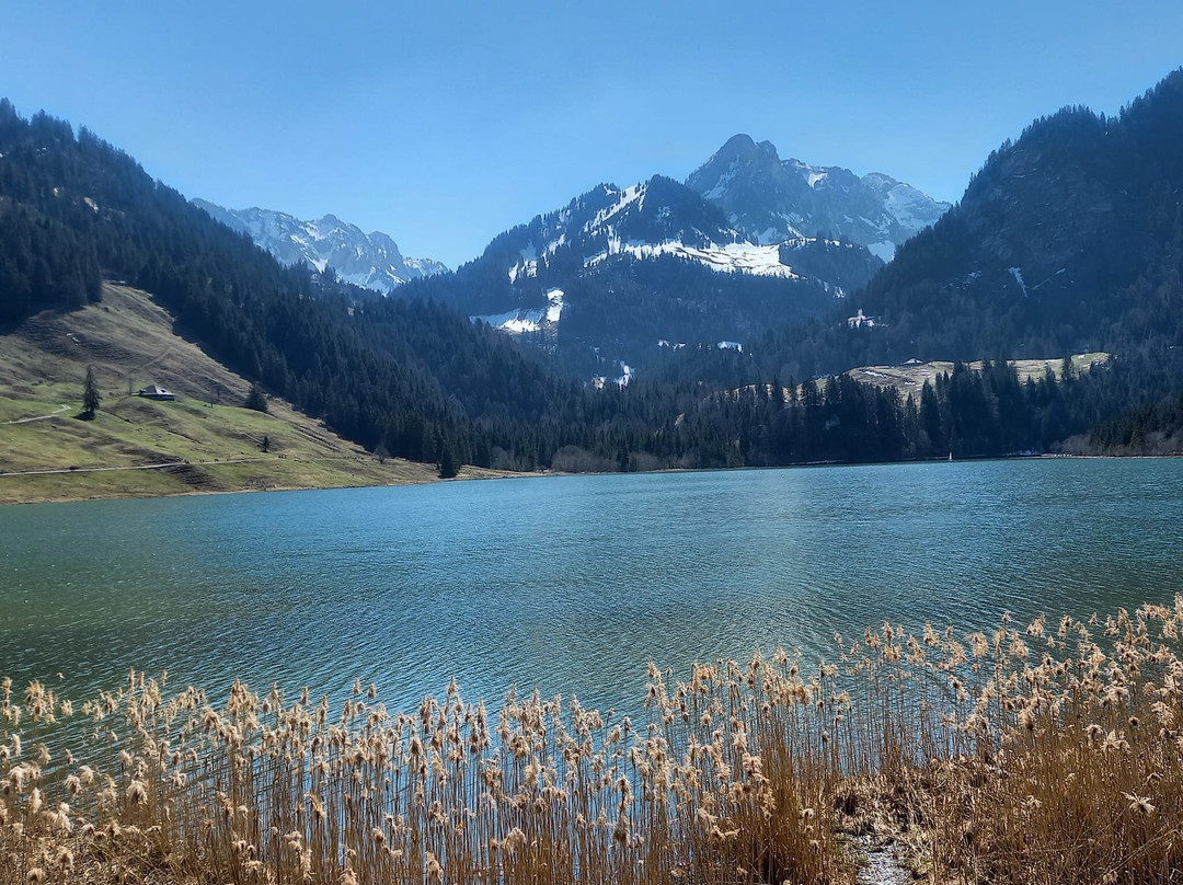 Schwarzsee Lac Noir-施瓦茨塞湖必去景点