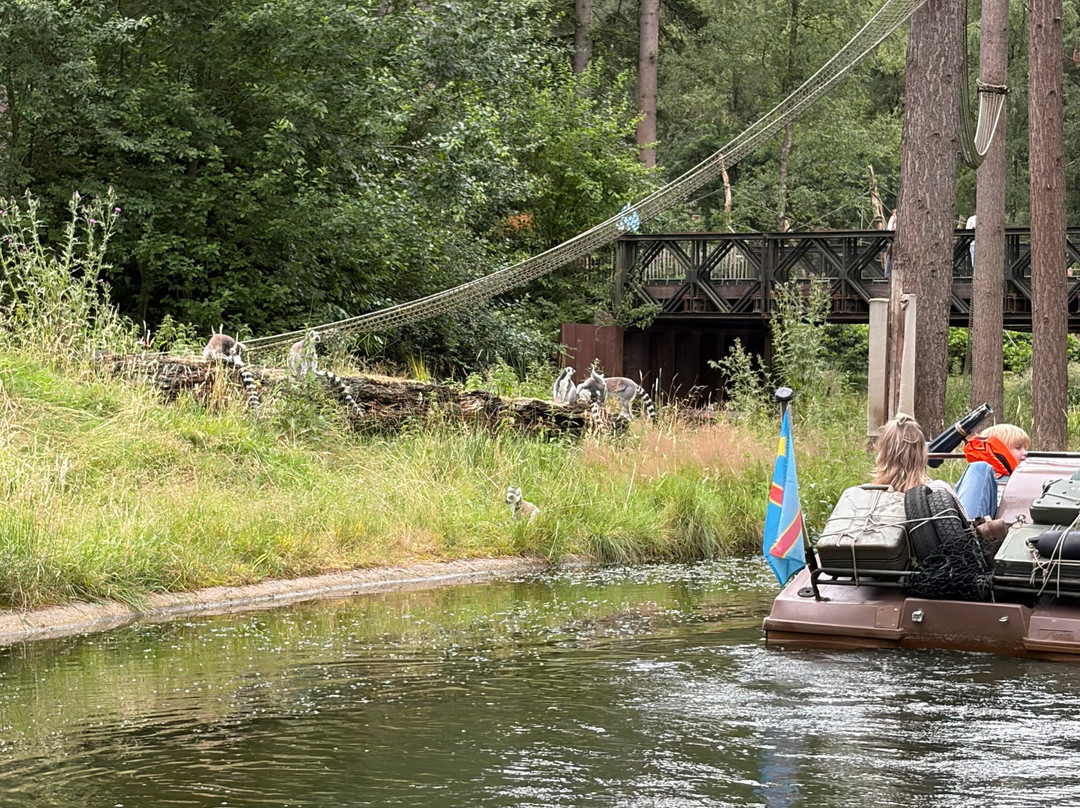 DierenPark Amersfoort-阿默斯福特必去景点