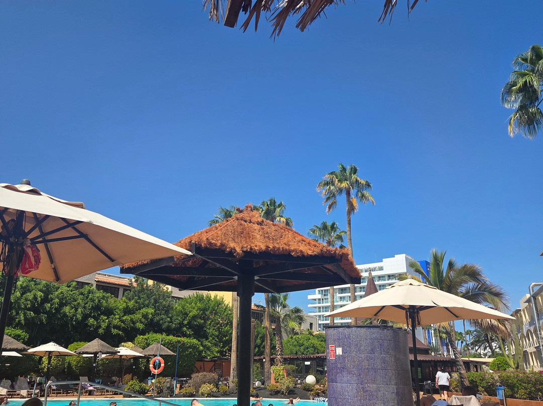 IFA Altamarena by Lopesan Hotels - 全包主图