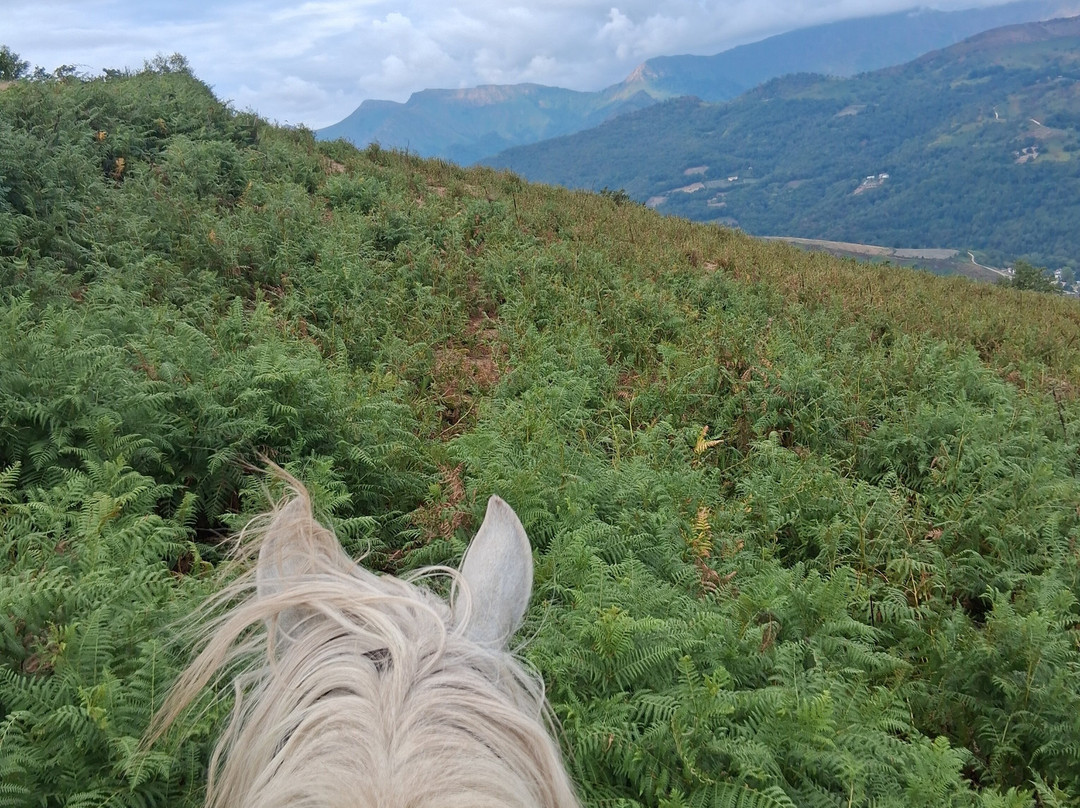 Ferme equestre Les Collines-Osses必去景点
