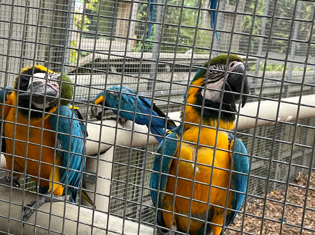 Lincolnshire Wildlife Park-Friskney必去景点