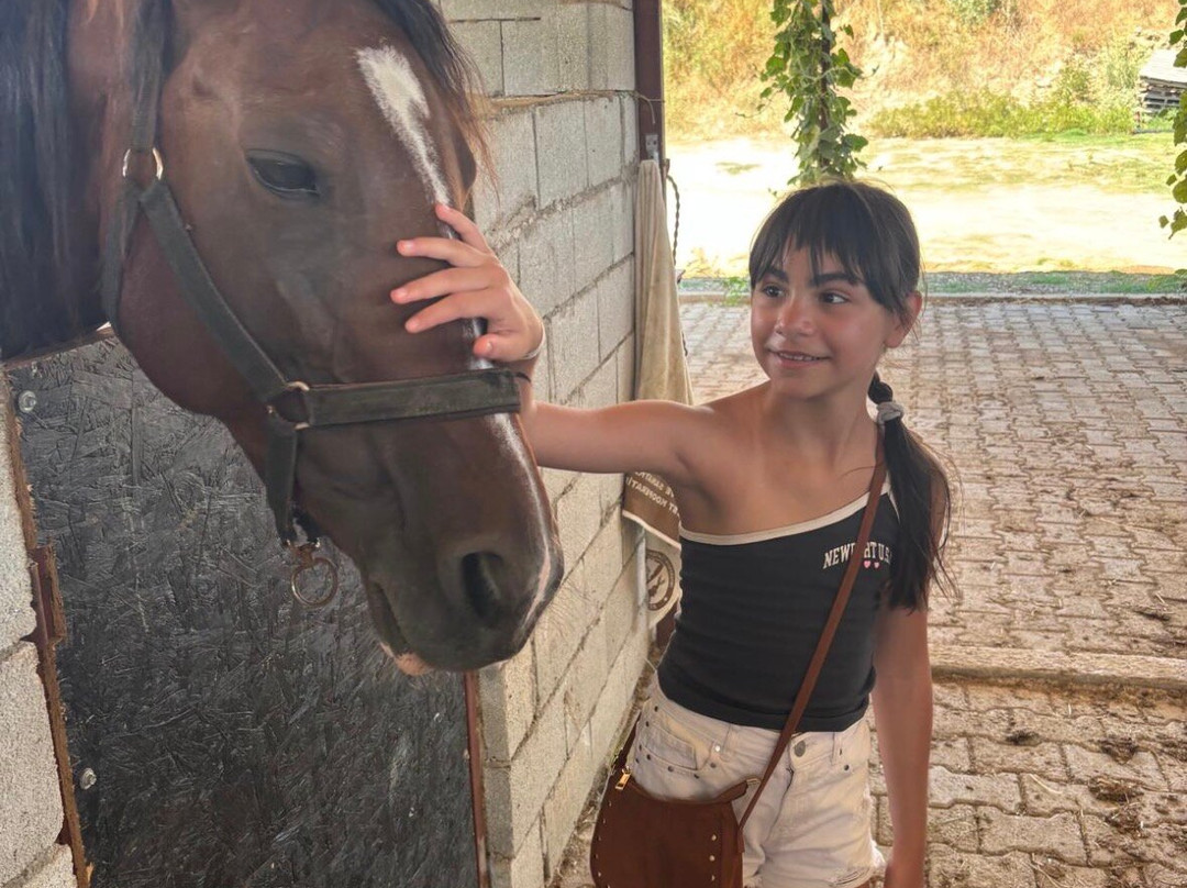 Belek Safari | Horse Riding Tour-Kumkoy必去景点