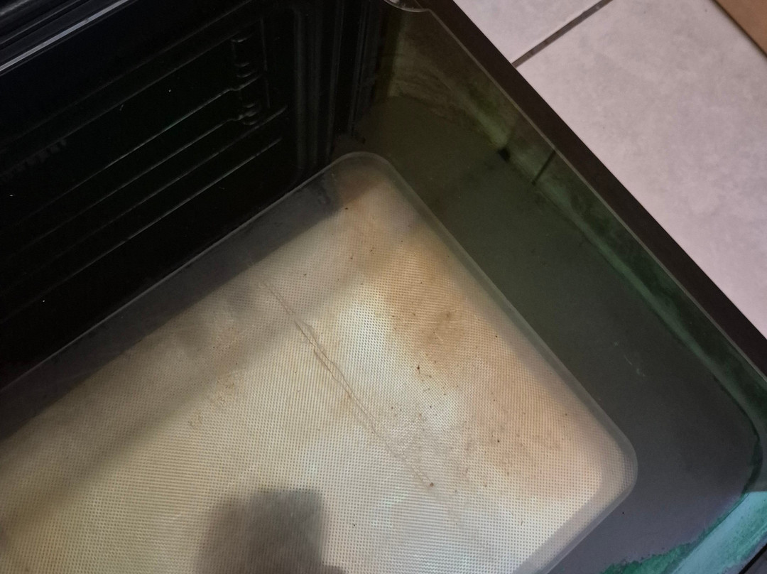 道格拉斯港天堂高尔夫度假酒店主图