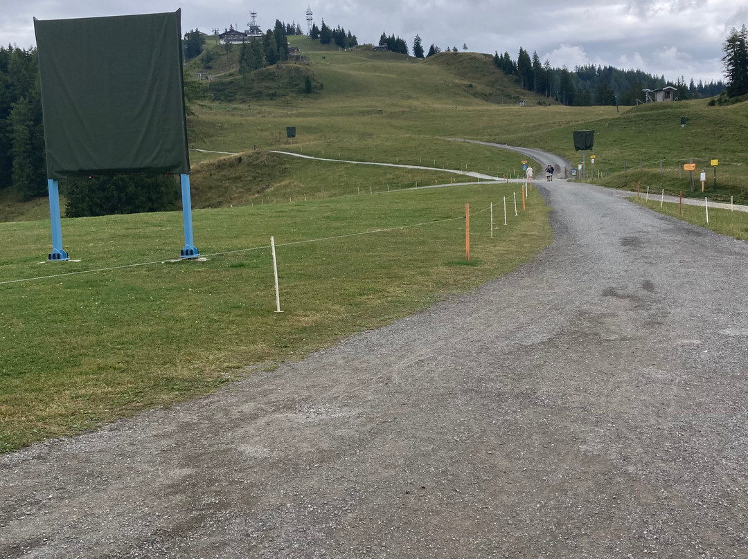 Buchau-Hütte-圣约翰彭高/阿尔卑斯山村必去景点