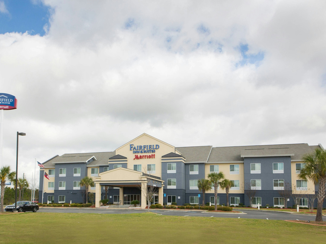 Vienna酒店住宿-Fairfield by Marriott Inn & Suites Cordele