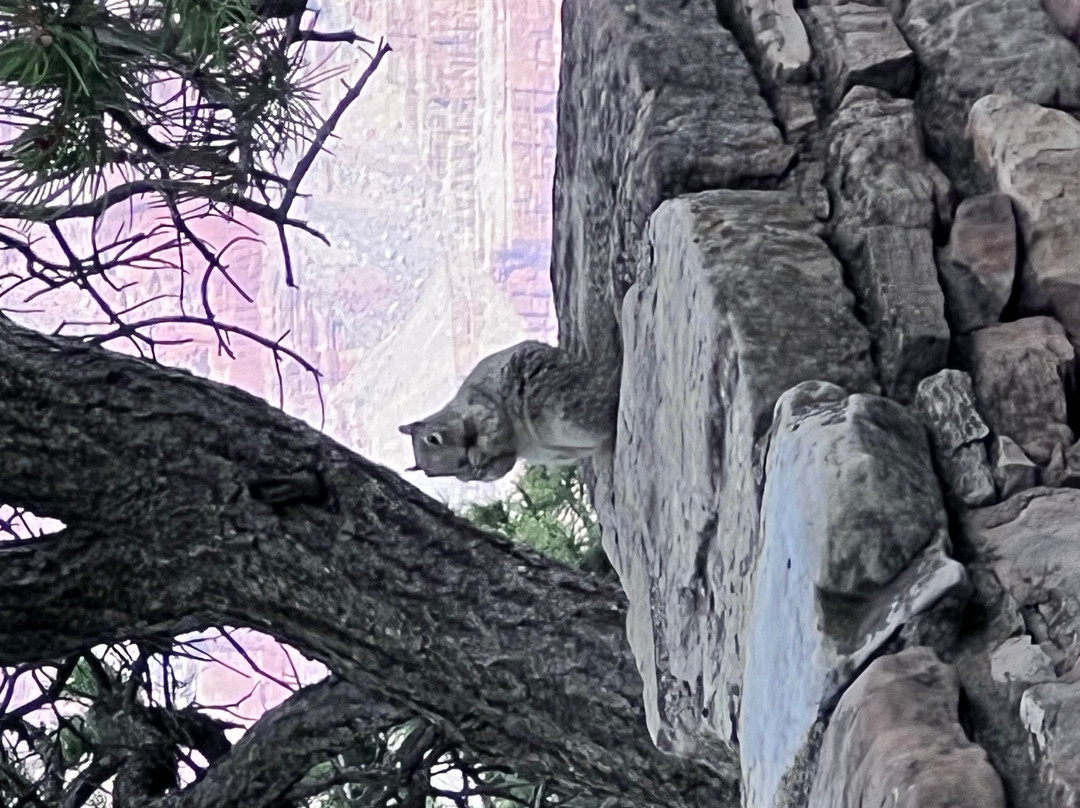 卡奇纳旅馆主图