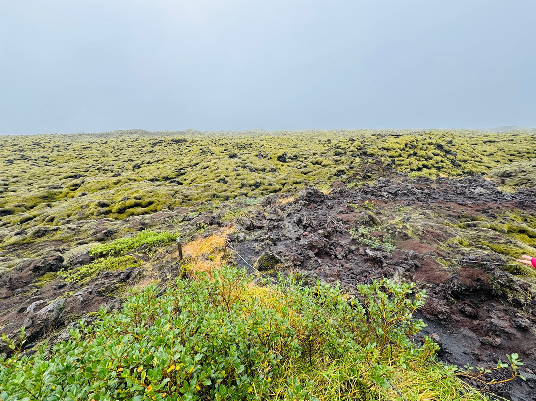 Katla UNESCO Global Geopark-霍尔斯沃德吕尔镇必去景点