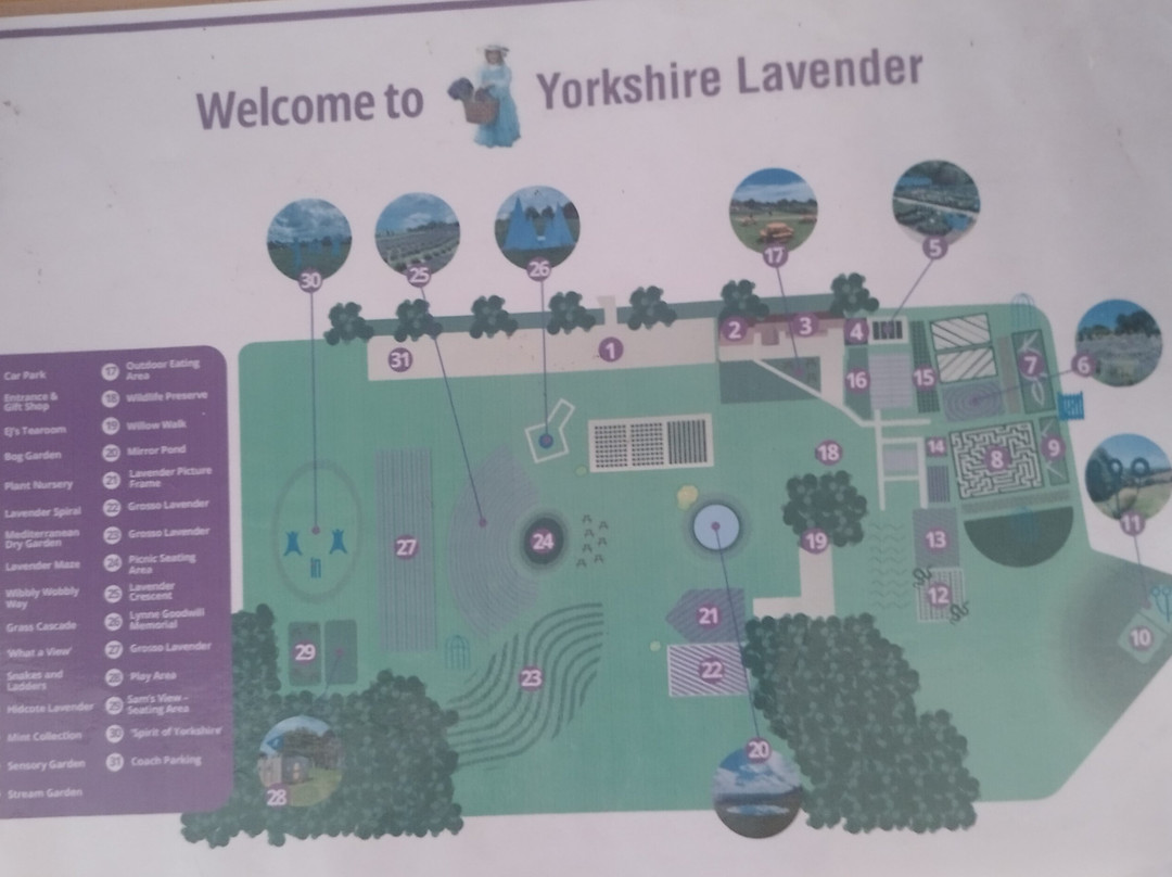 Yorkshire Lavender-Terrington必去景点