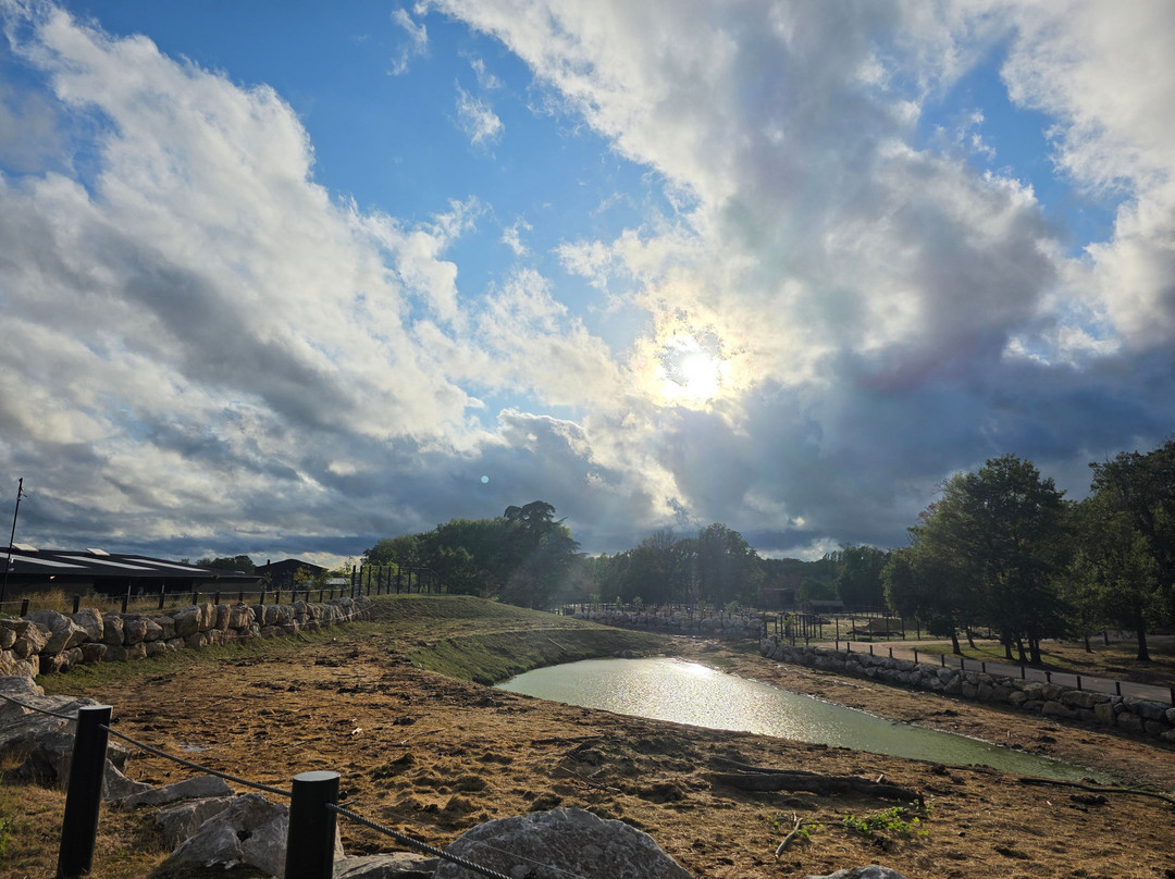 Lodge Terres d'Afrique du Wow Safari Thoiry