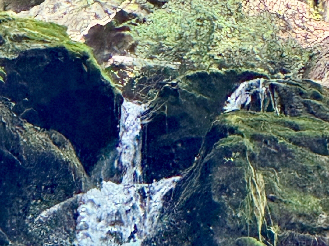 Jim Thorpe River Adventures-Lehighton必去景点