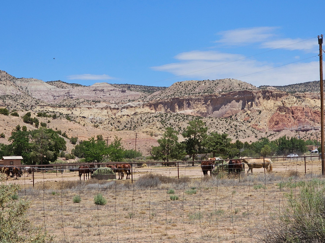 Georgia O'Keeffe: Welcome Center-Abiquiu必去景点