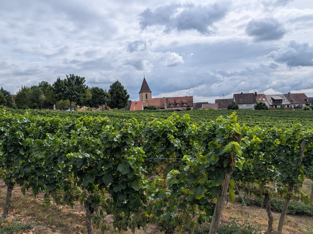 Breisacher Fahrradverleih-Breisach am Rhein必去景点