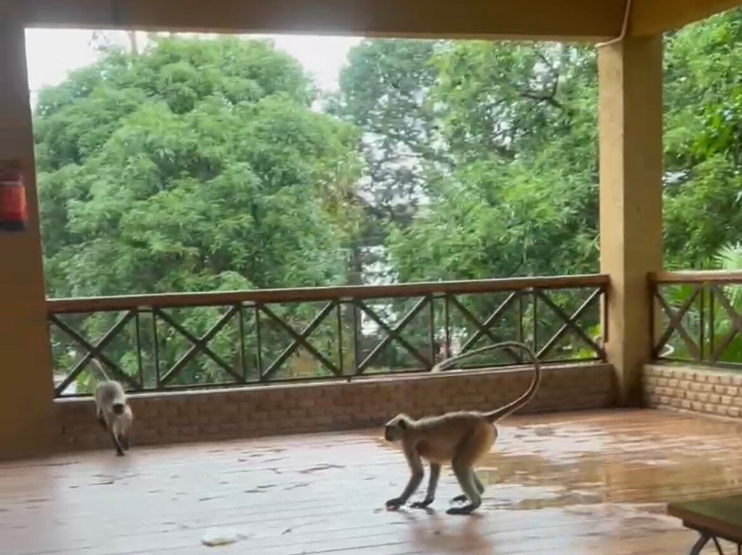 MPT Hinglaj Resort, Gandhi Sagar主图