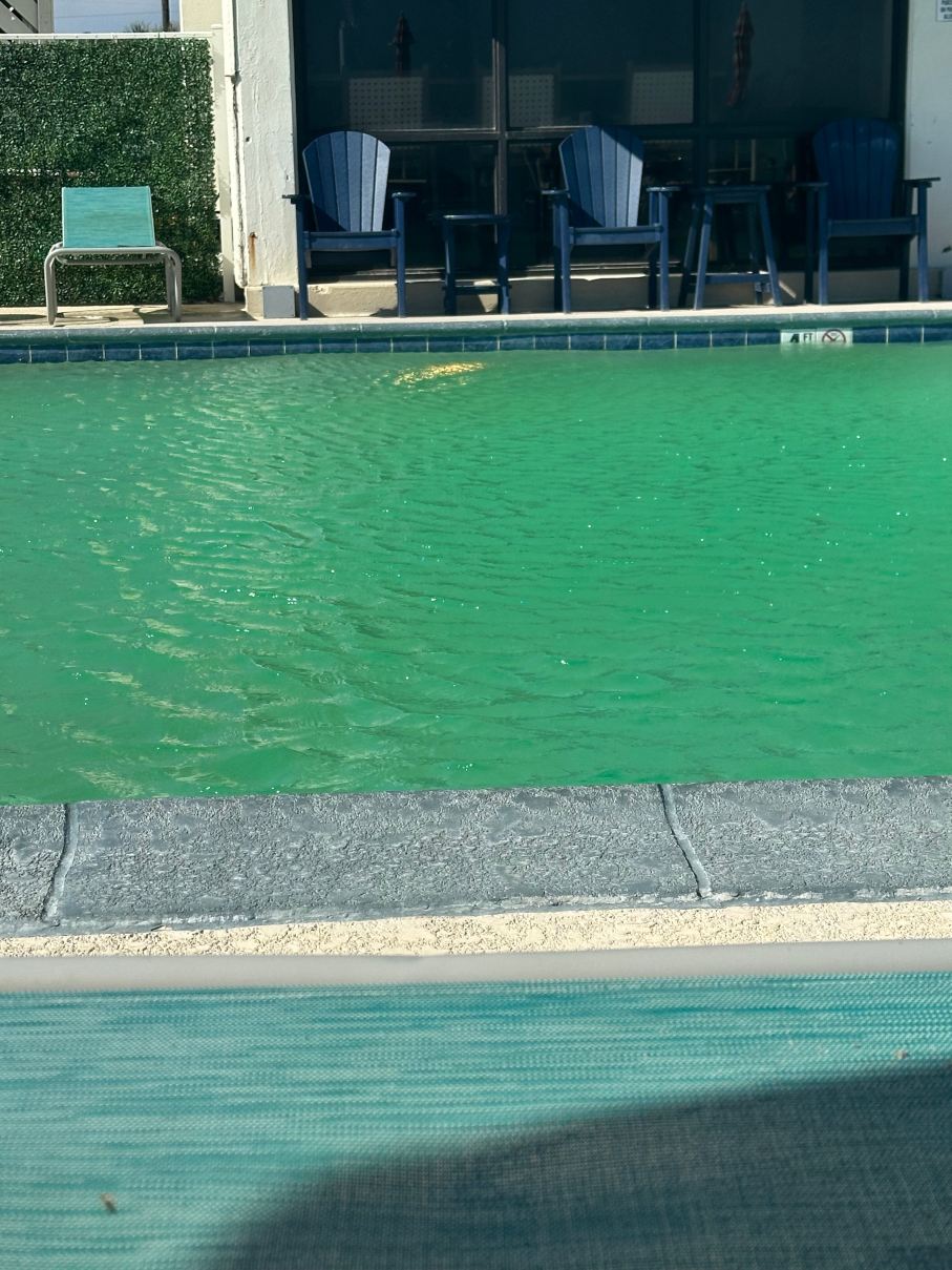 水晶海岸海滨酒店-旅行者