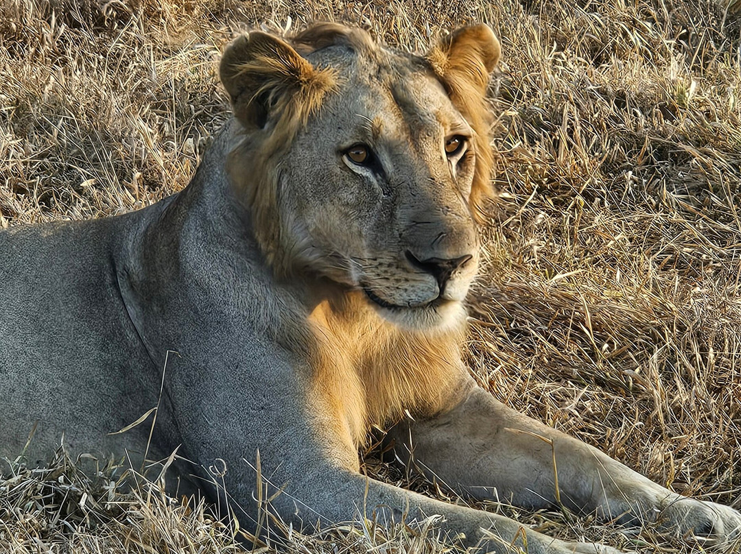 Passionate Safaris-Dar es Salaam必去景点