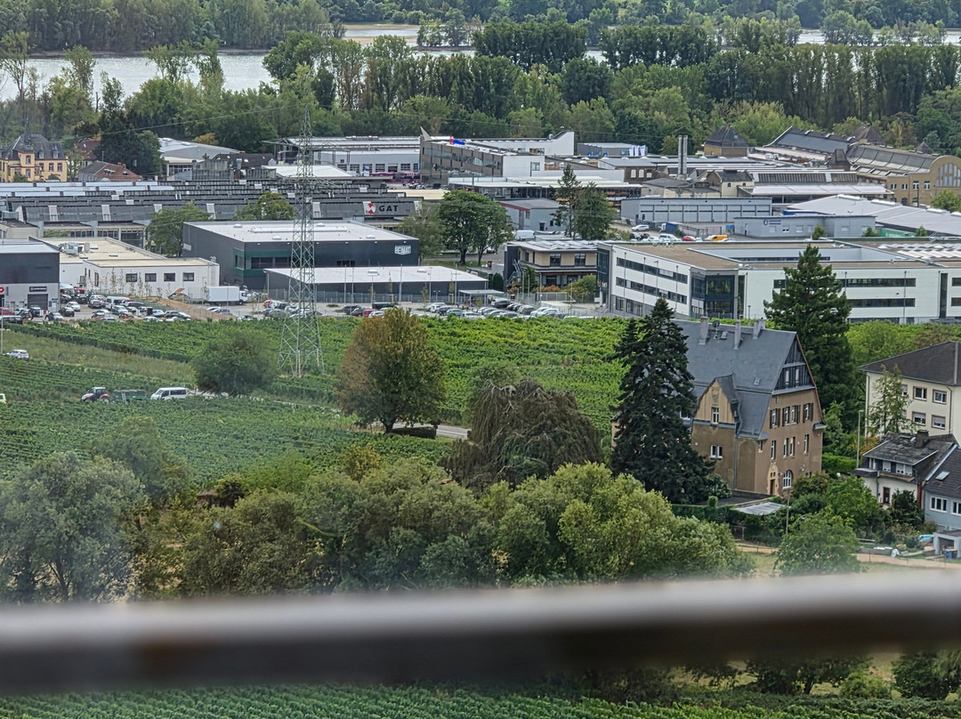 Schloss Johannisberg-盖森海姆必去景点