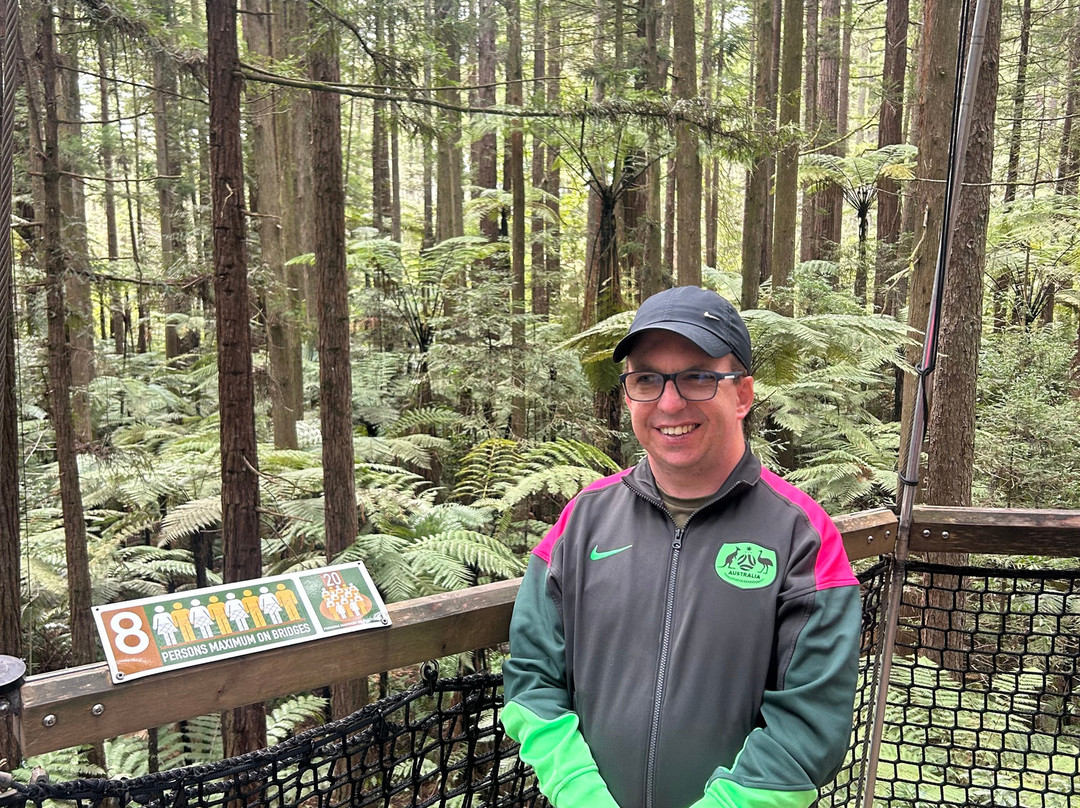 Redwoods Treewalk-罗托鲁瓦必去景点