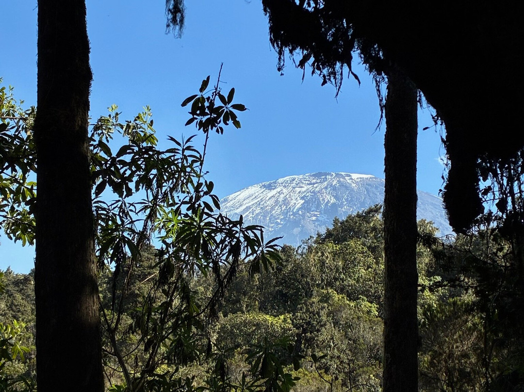 Ambassador Trekking Safaris-Sakina必去景点