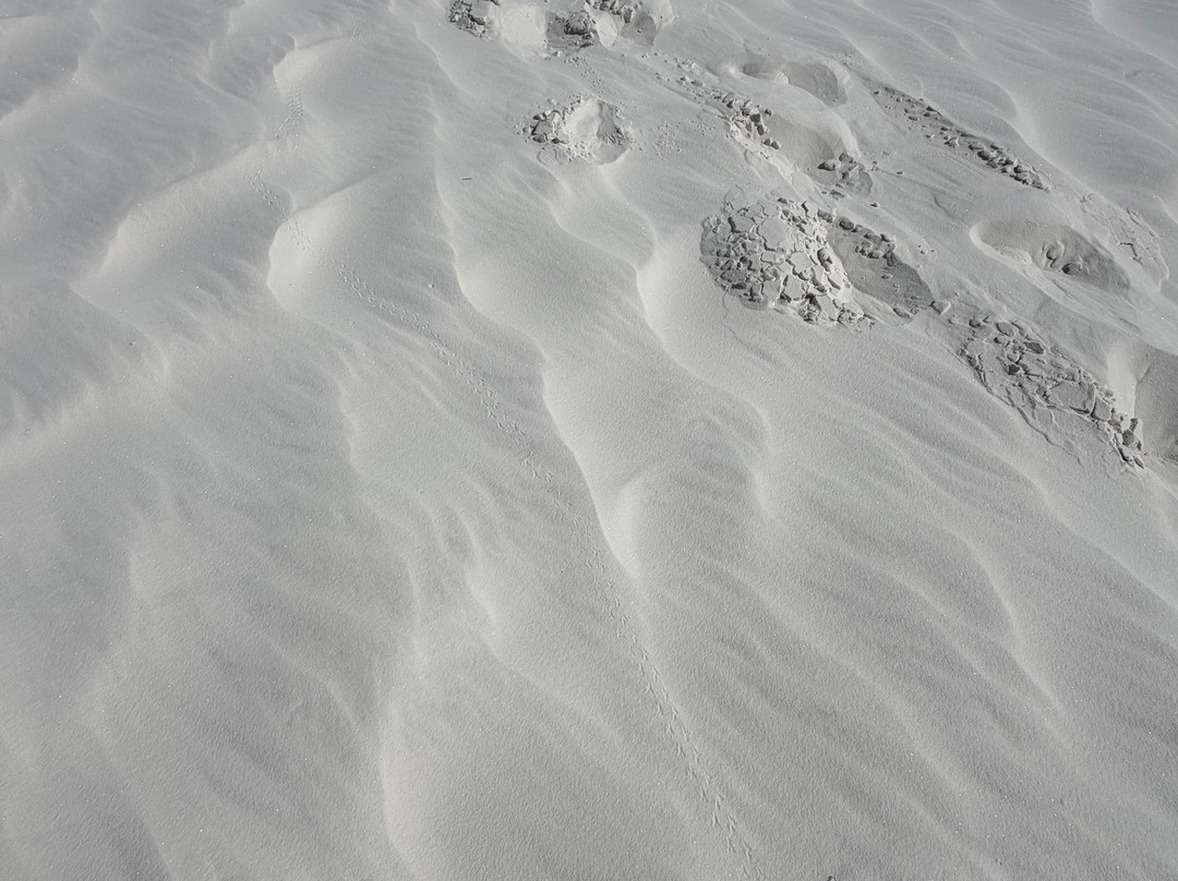 White Sands National Park-阿拉莫戈多必去景点