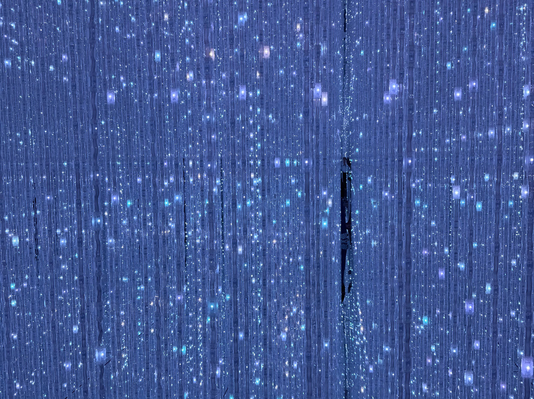 teamLab Planets TOKYO-Toyosu必去景点