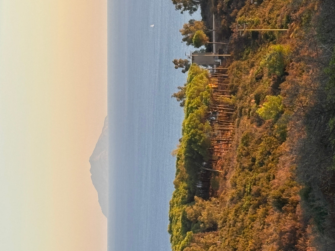 CANTINA Tenuta delle Ripalte-Capoliveri必去景点