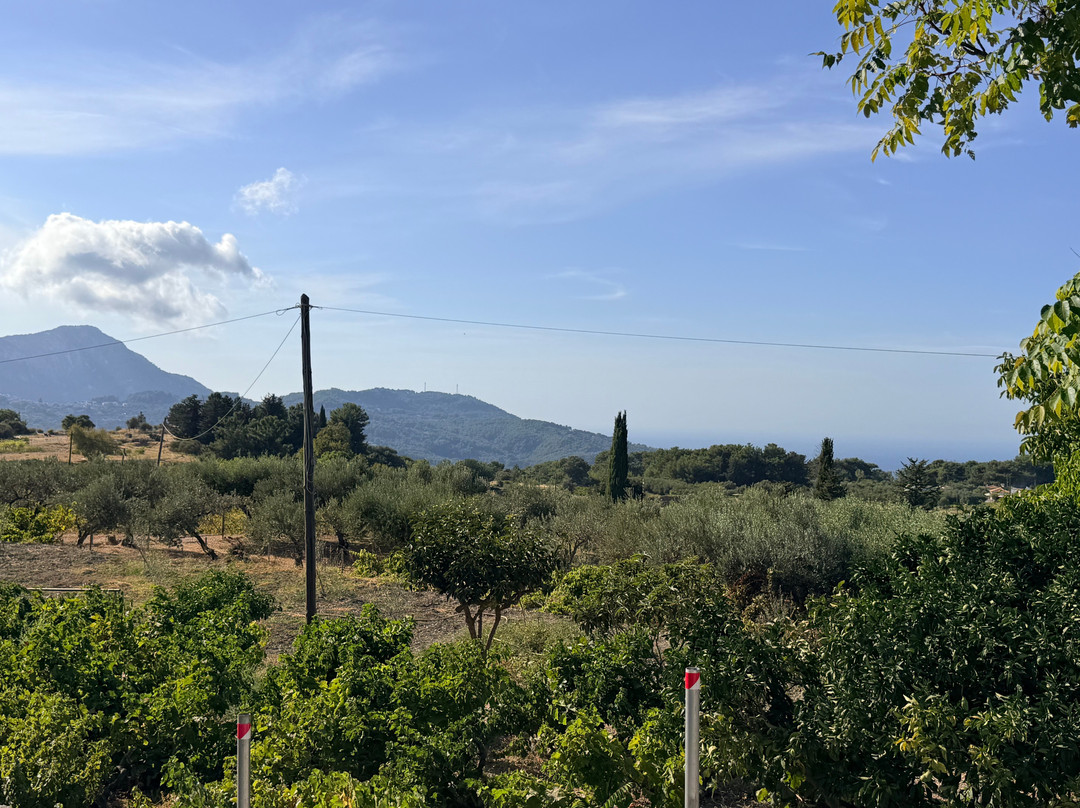Vakakis Winery-Karlovasi必去景点