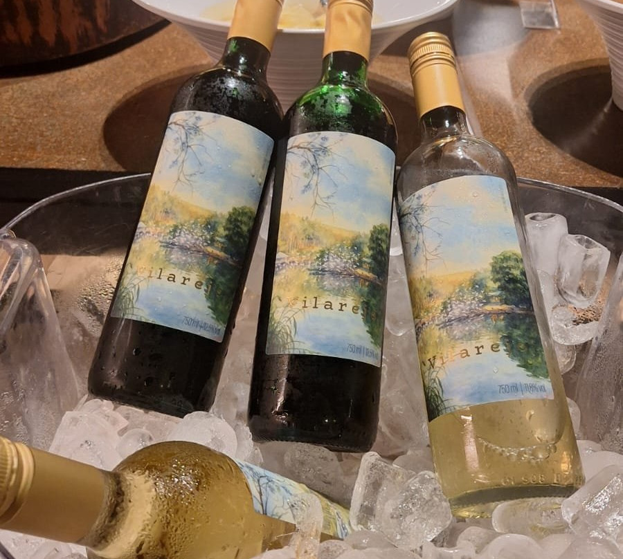 维拉瑞欧帕拉酒店主图