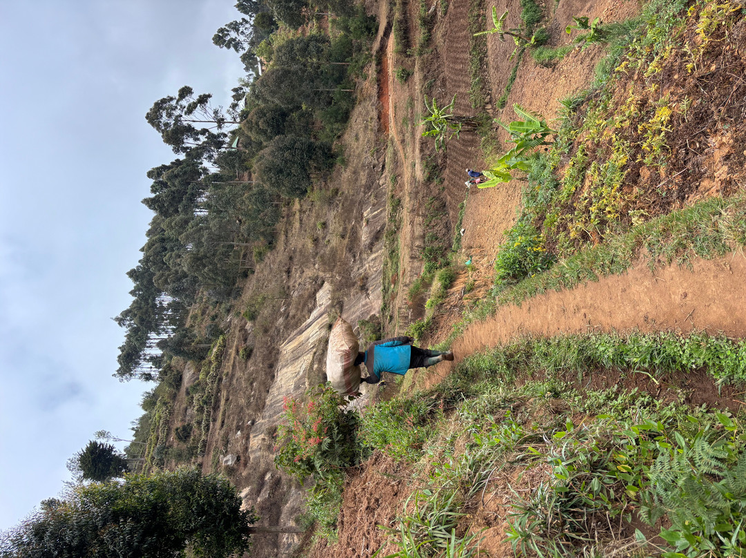 Magamba Eco-cultural Tourism-卢绍托必去景点
