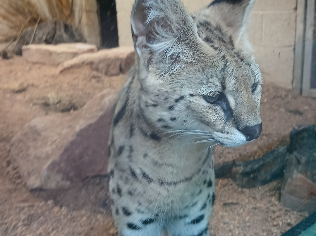 Marwell Zoo-温彻斯特必去景点