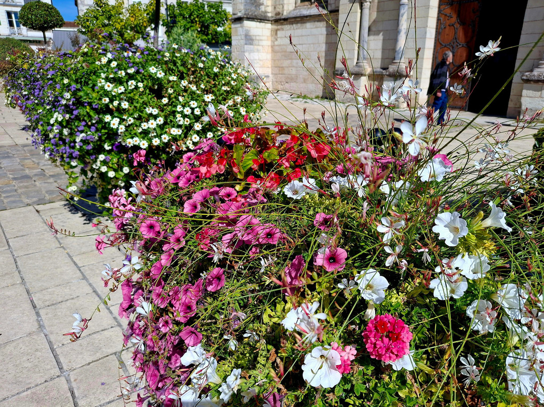 Abbey Church of Selles-sur-Cher