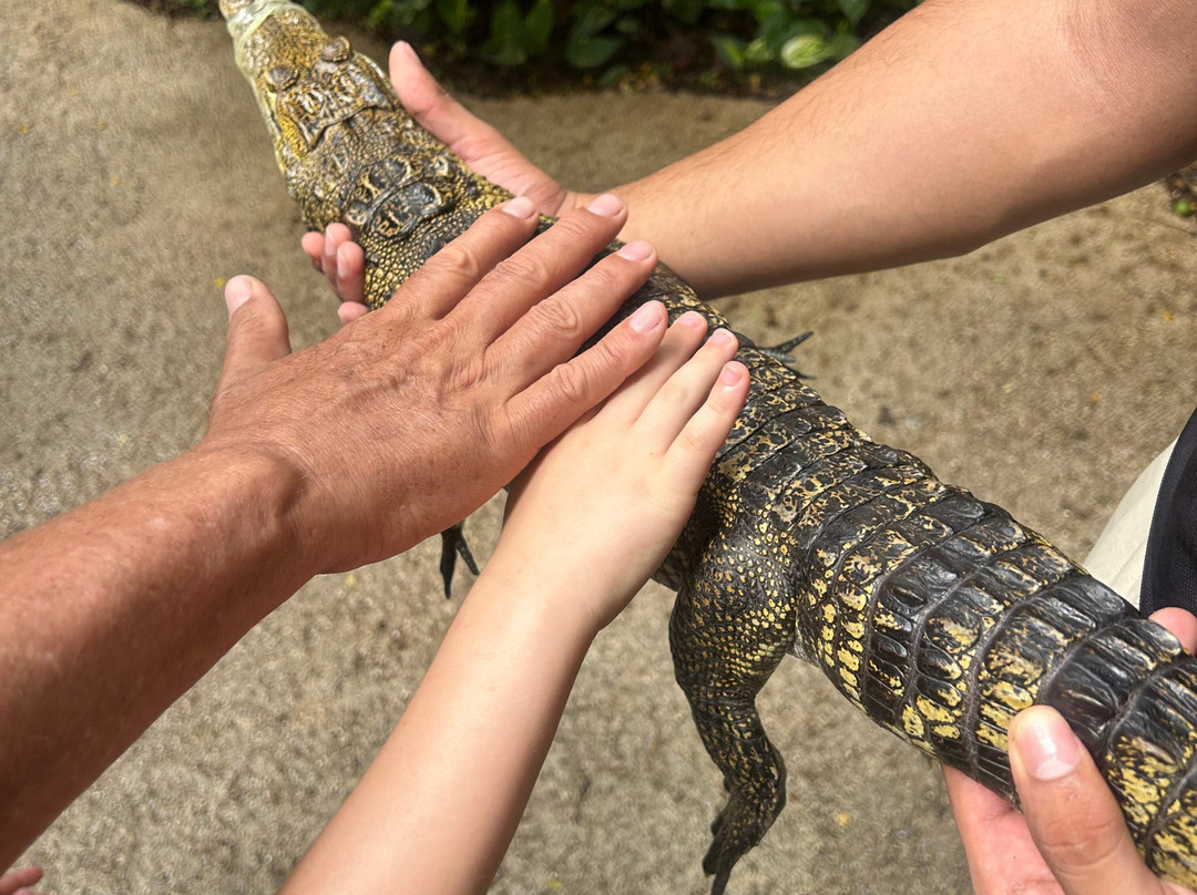 Croco Cun Zoo-从莫雷洛斯港必去景点