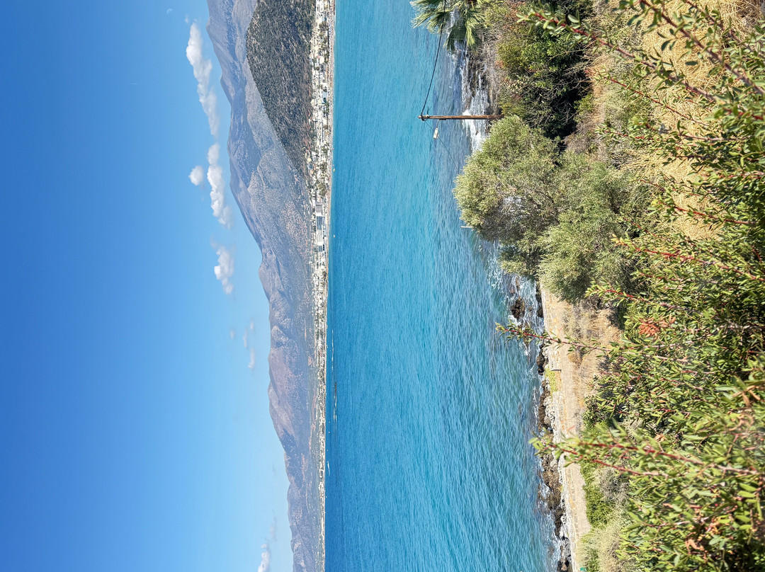 亚历山大海滩乡村酒店主图