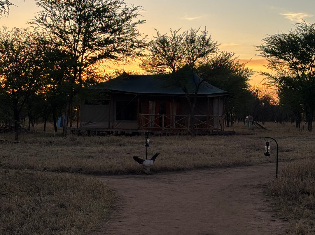 Sightseeing Luxury Tented Lodge